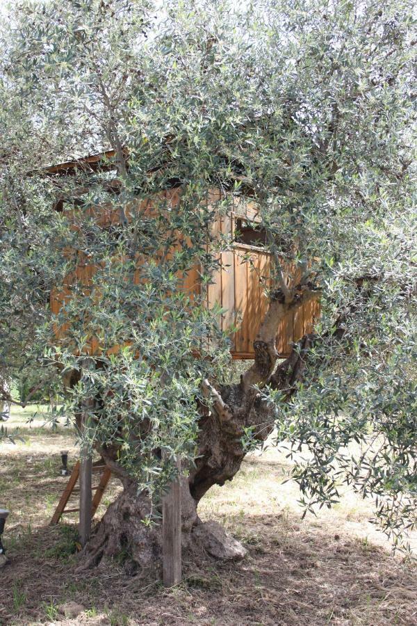 Mercouri Stone Cottage Korakochori Екстер'єр фото